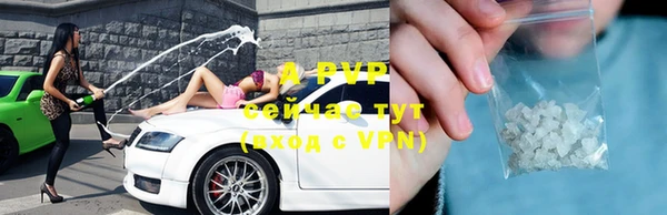 прущие грибы Балабаново