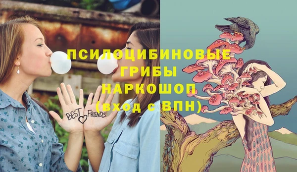 трава Белокуриха