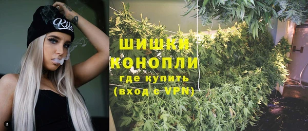 прущие грибы Балахна