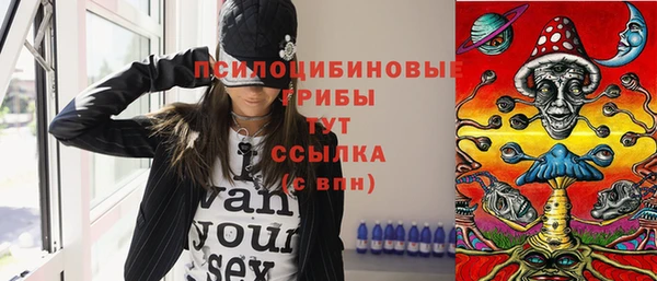 прущие грибы Балахна