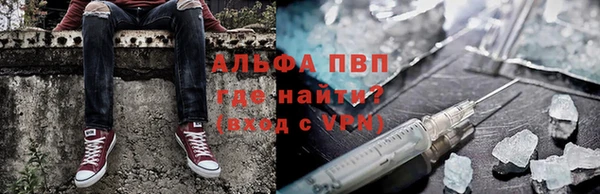 прущие грибы Балабаново