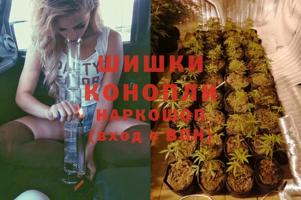 прущие грибы Балабаново