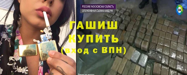 прущие грибы Балабаново
