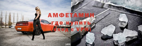 прущие грибы Балахна
