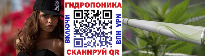 Бошки Шишки OG Kush  мега маркетплейс  маркетплейс Telegram  где продают   Павловск 